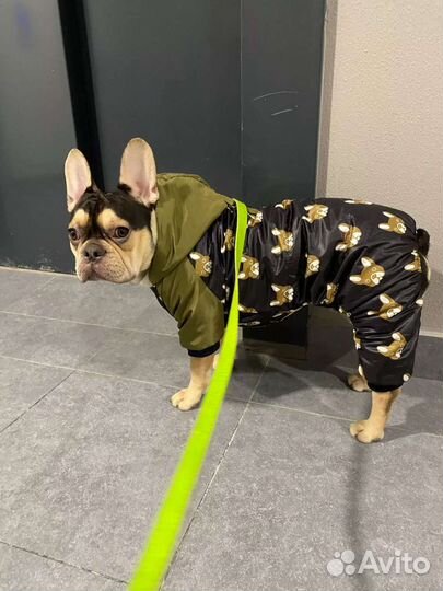 Одежда для собак крупных пород