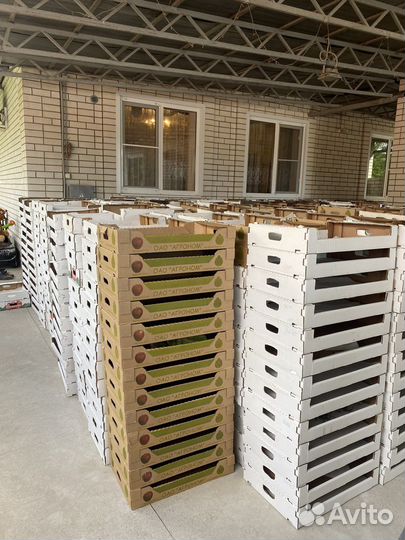 Пластиковая тара ящики