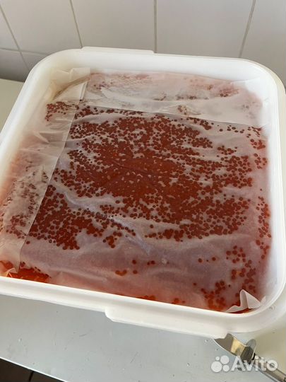 Икра горбуши