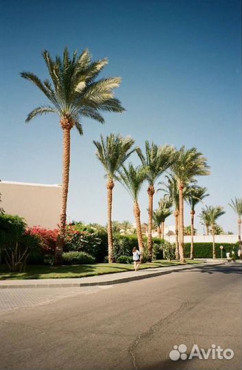 Пленочный фотоаппарат Canon Prima Junior