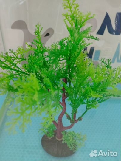 Продаётся аквариум на 15 л с фильтром