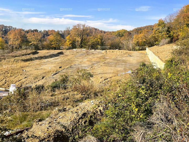 Участок 100 сот. (ИЖС)