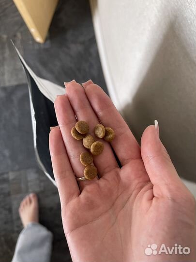 Сухой корм для собак royal canin