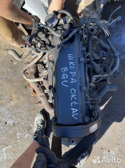 Шкода октавия тур двигатель 1.6л BGU