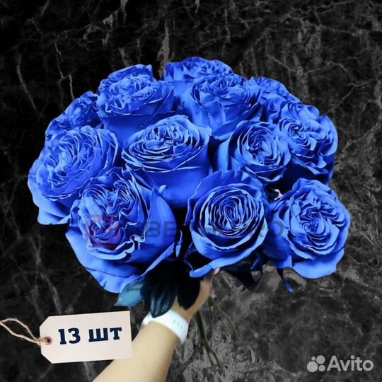 Розы (60 см) синие Эквадор 13 шт