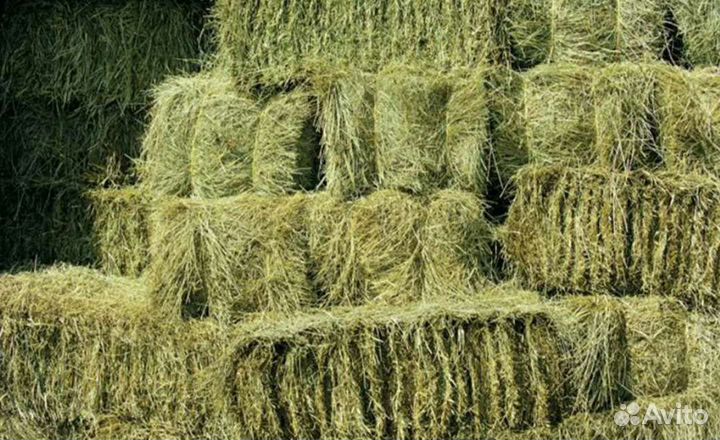 Сено