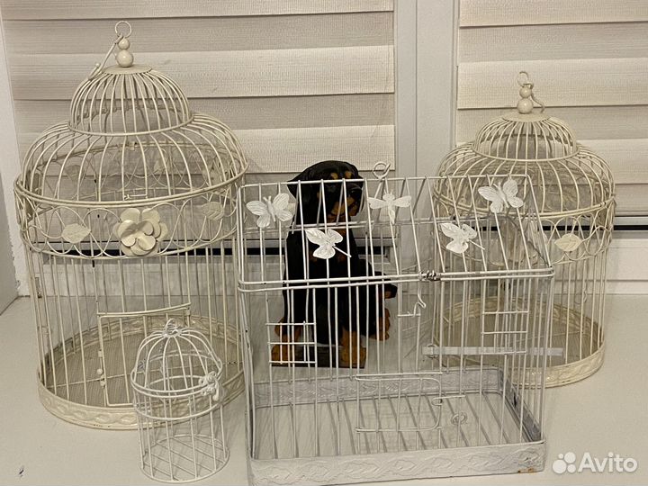 Клетки декоративные