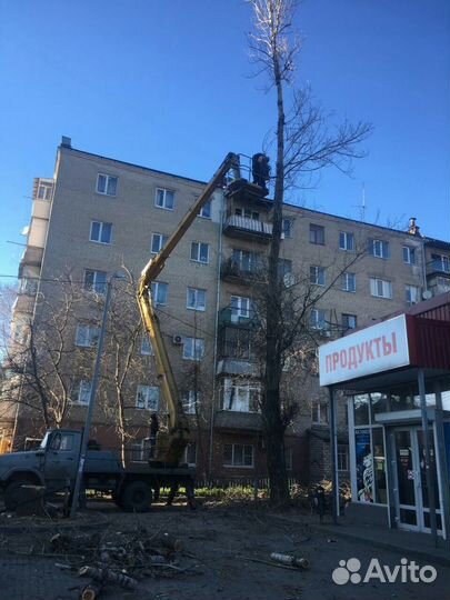 Спил деревьев. Вывоз мусора