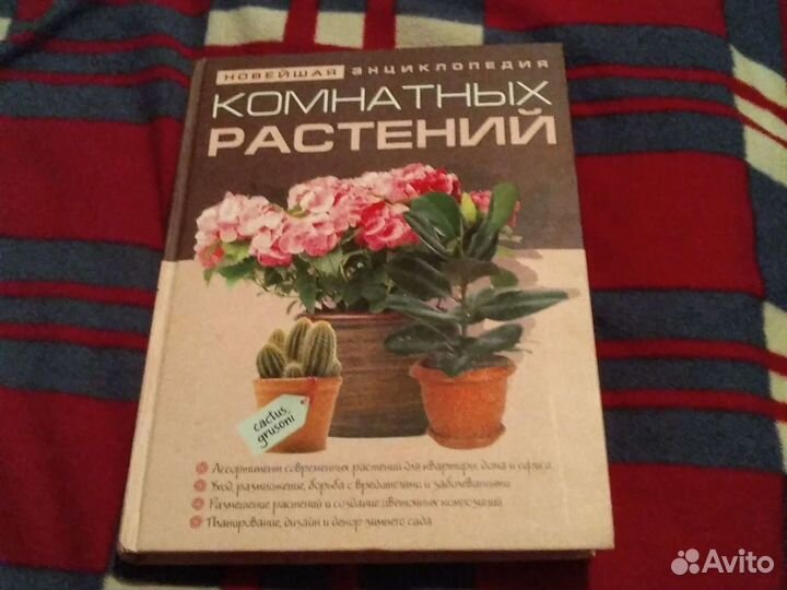 Энциклопедия