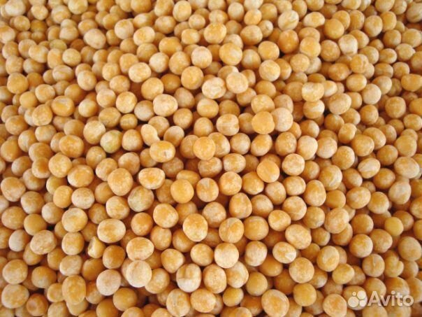 Горох Фуражный Оптом от10тонн