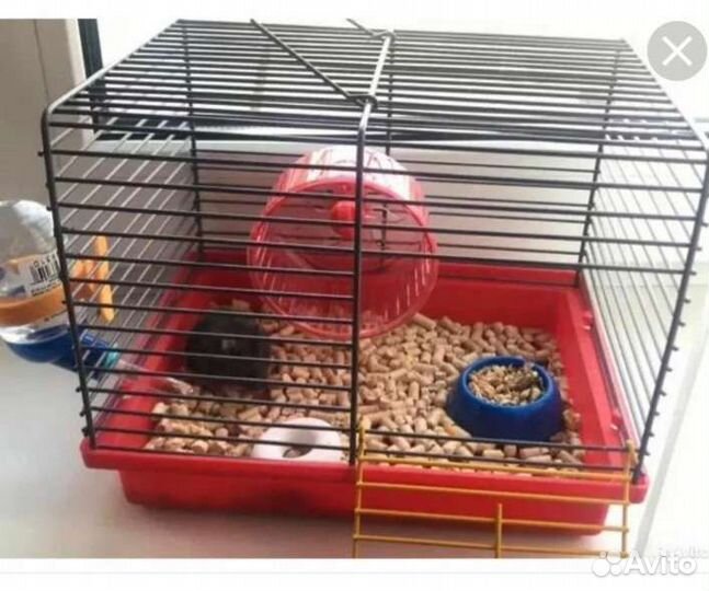 Клетки для птиц и хомяков