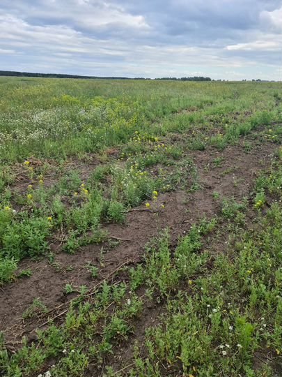 Участок 2,7 га (СНТ, ДНП)