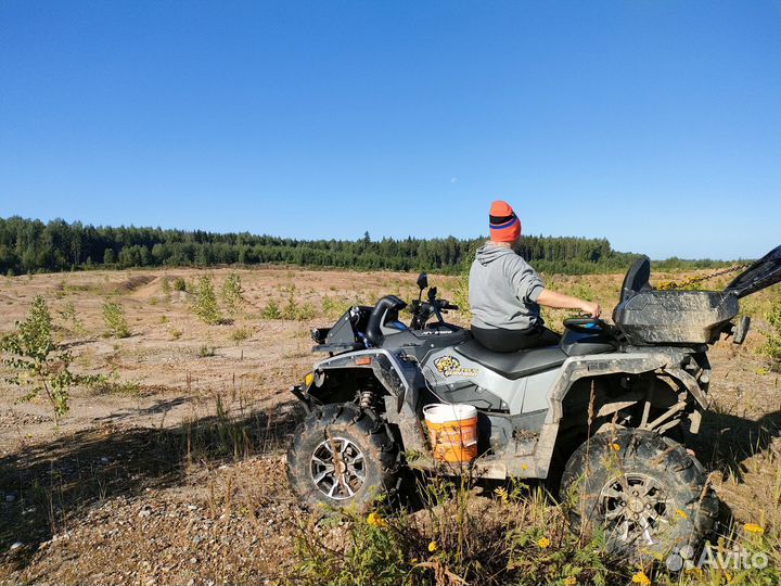 Стелс Гепард