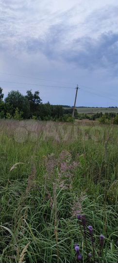 Участок 18 сот. (ИЖС)