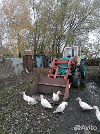 Трактор ЮМЗ 6 с КУН, 1980