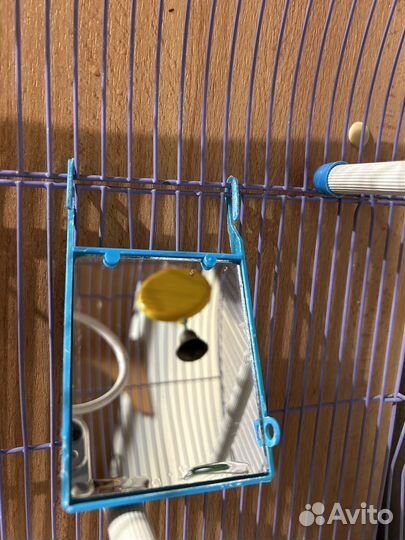 Клетка для попугая