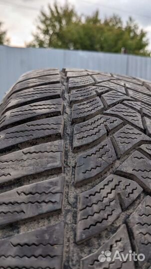 Dunlop Winter Sport 5 205/60 R16