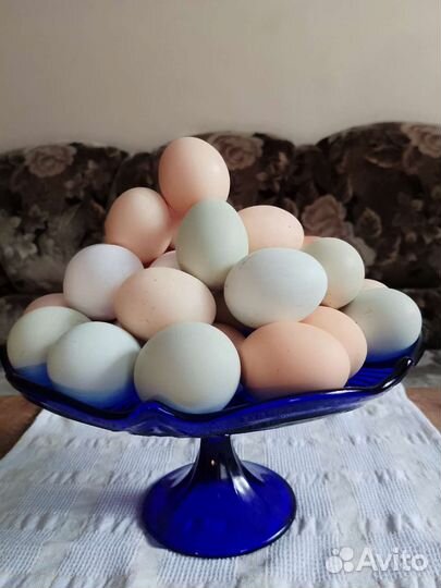 Домашние куриные яйца