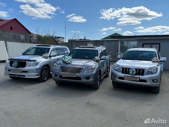 Украшения для свадебного кортежа