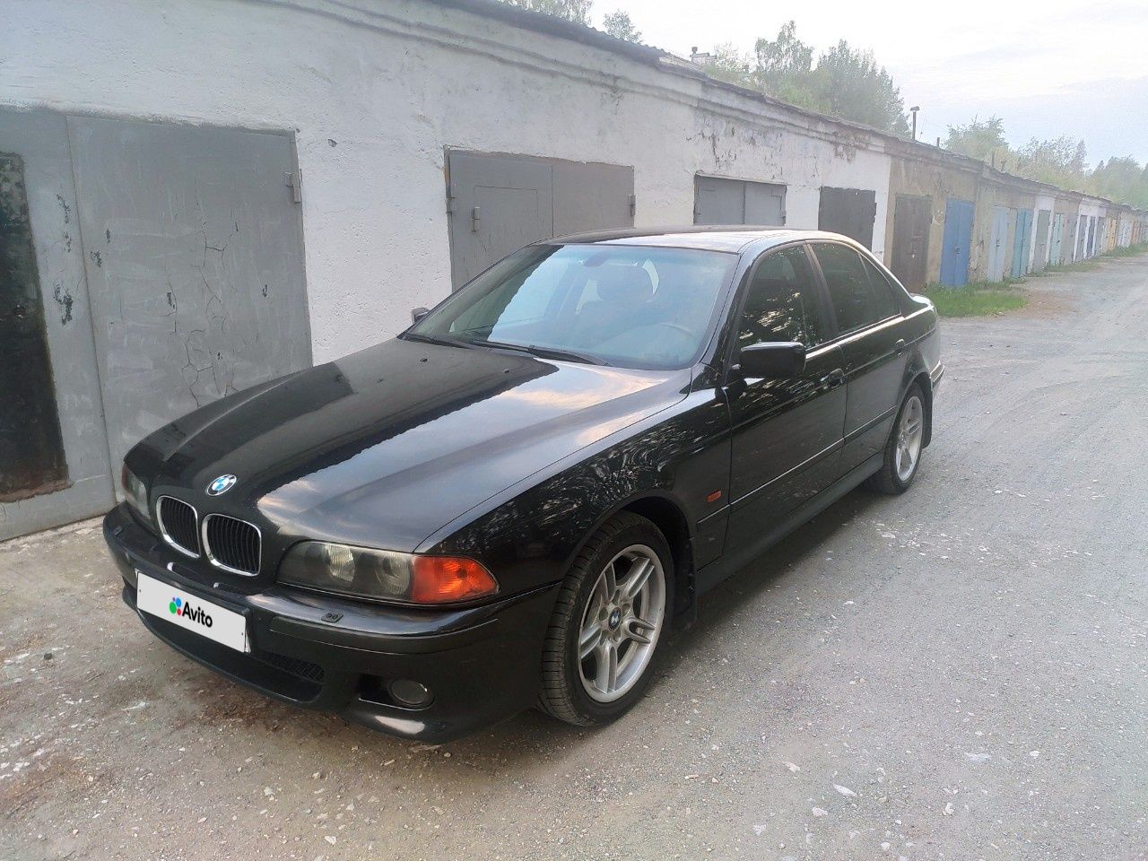 BMW 5 серия: фото владельца