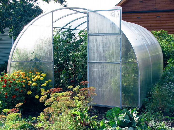 Теплица капелька