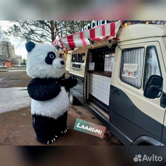 Поздравление от панды Бори