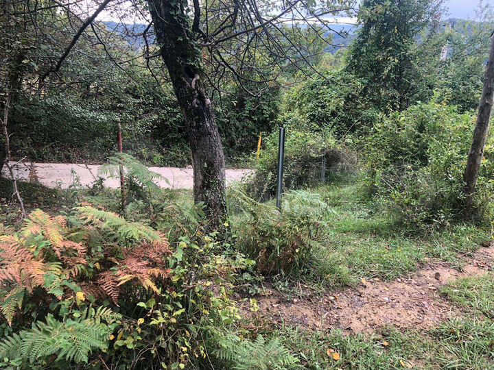 Участок 15 сот. (СНТ, ДНП)