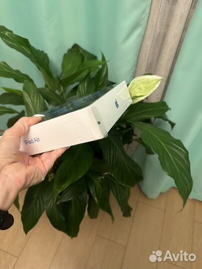 Планшет Apple