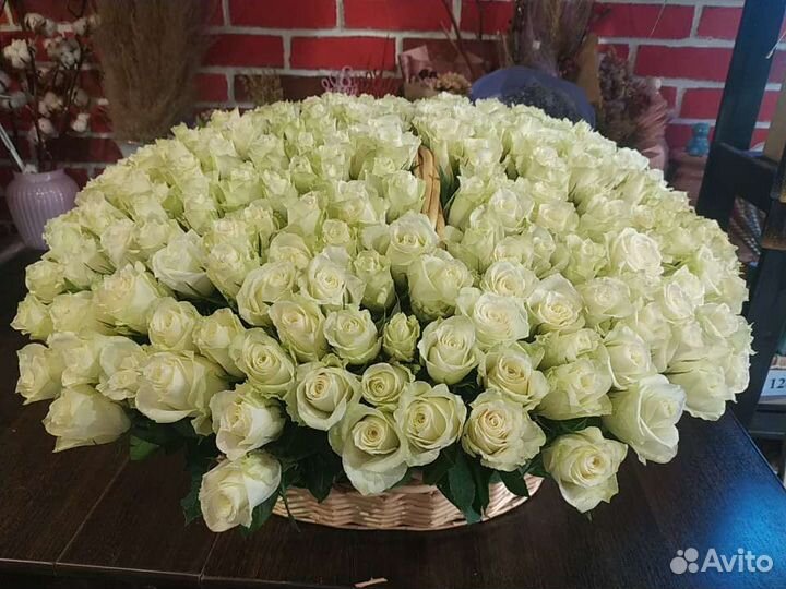 Розы, 301 роза с бесплатной доставкой