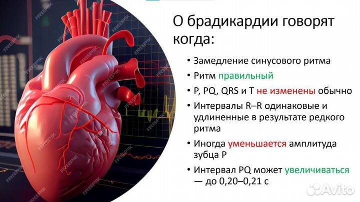 Создание презентаций power point