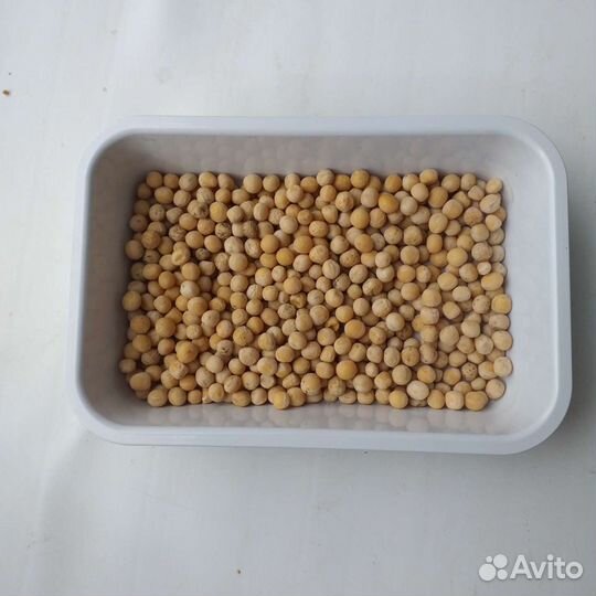 Семена для микрозелени