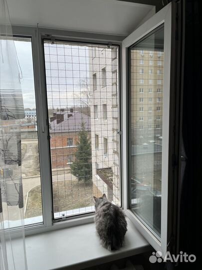 Зашитная металическая решетка на окно. Антикошка