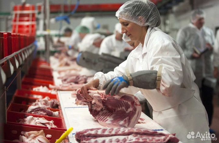 Ищу займ в мясокомбинат, доход 21567