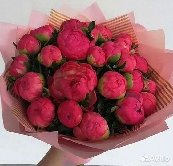 Пионы Букет пионов