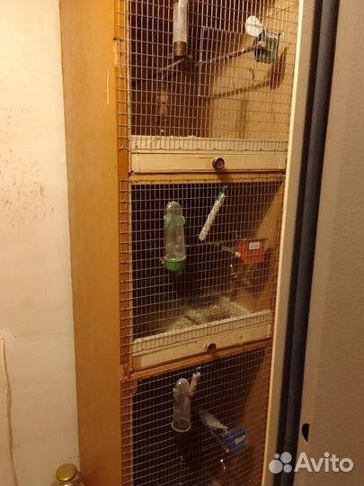 Вальер для птиц