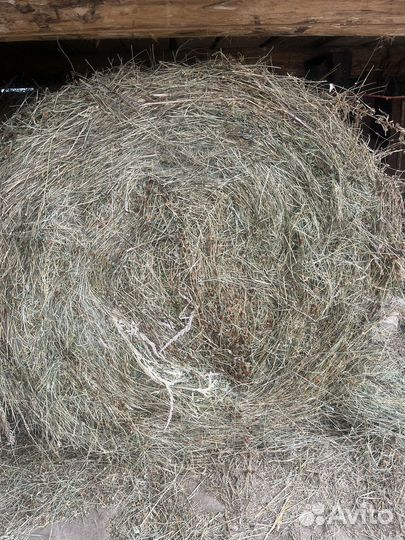 Сена в тюках (тюкованное сено)