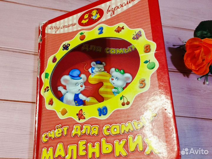 Книга Счёт для самых маленьких