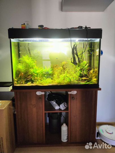 Аквариум с тумбой 240 л