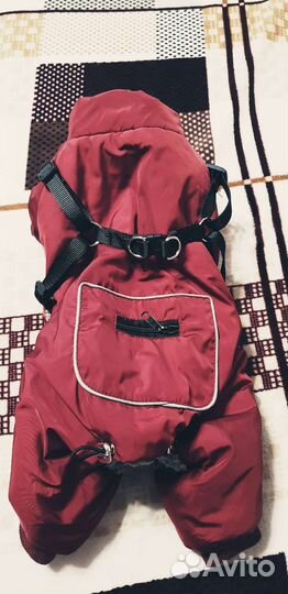 Комбинезон Petmax размер L на девочку