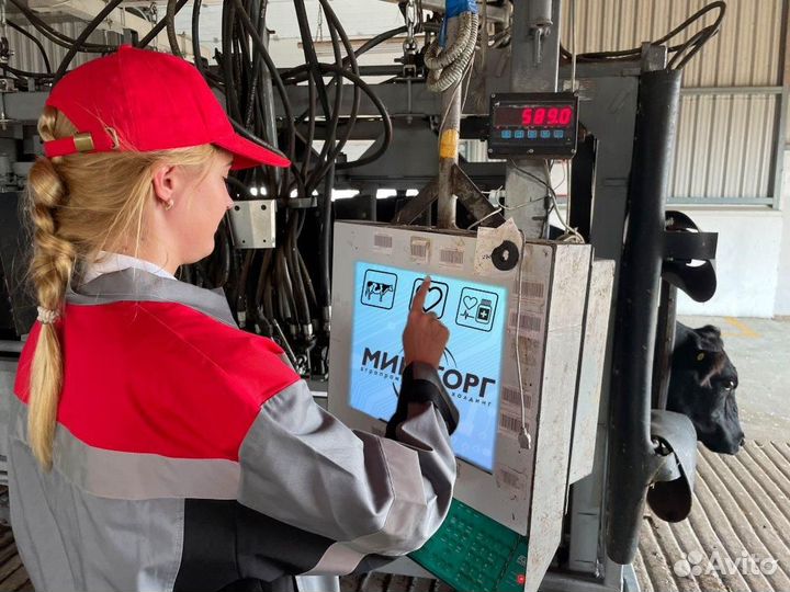 Администратор