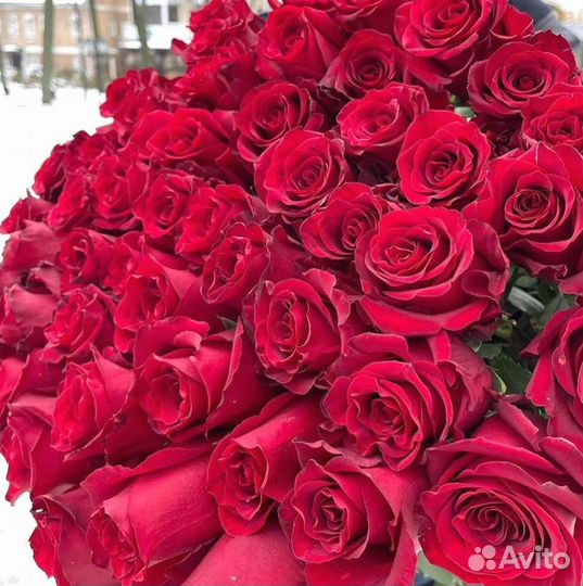 Метровые розы Доставка цветов