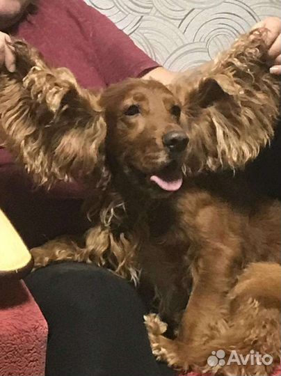 Кабель на вязку