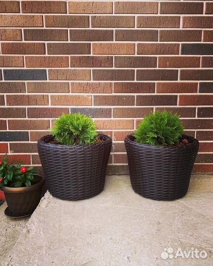 Кашпо для цветов