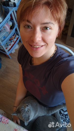 Передержка домашних животных