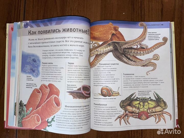 Современная детская энциклопедия