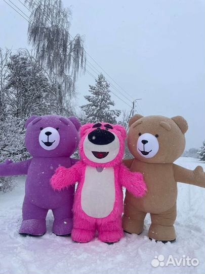 Большие мишки на праздник