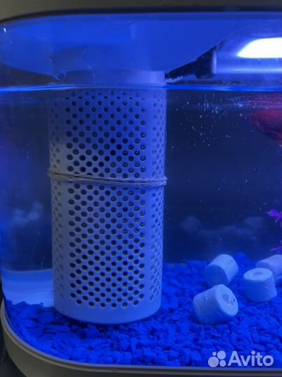 Акваферма xiaomi