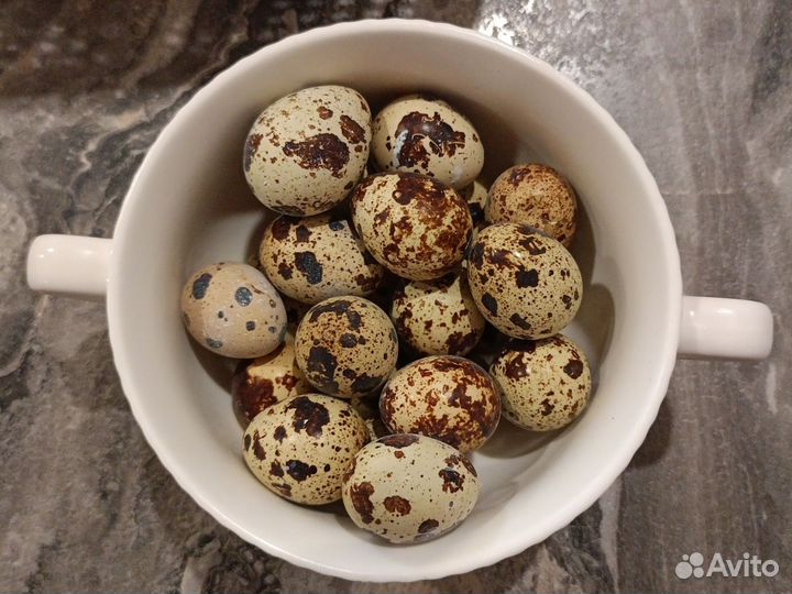 Яйца перепелиные домашние
