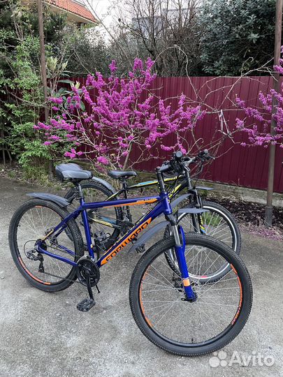 Велосипеды-Аренда