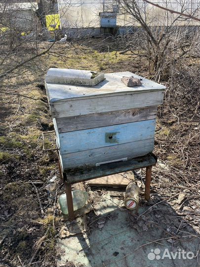 Все для пчел